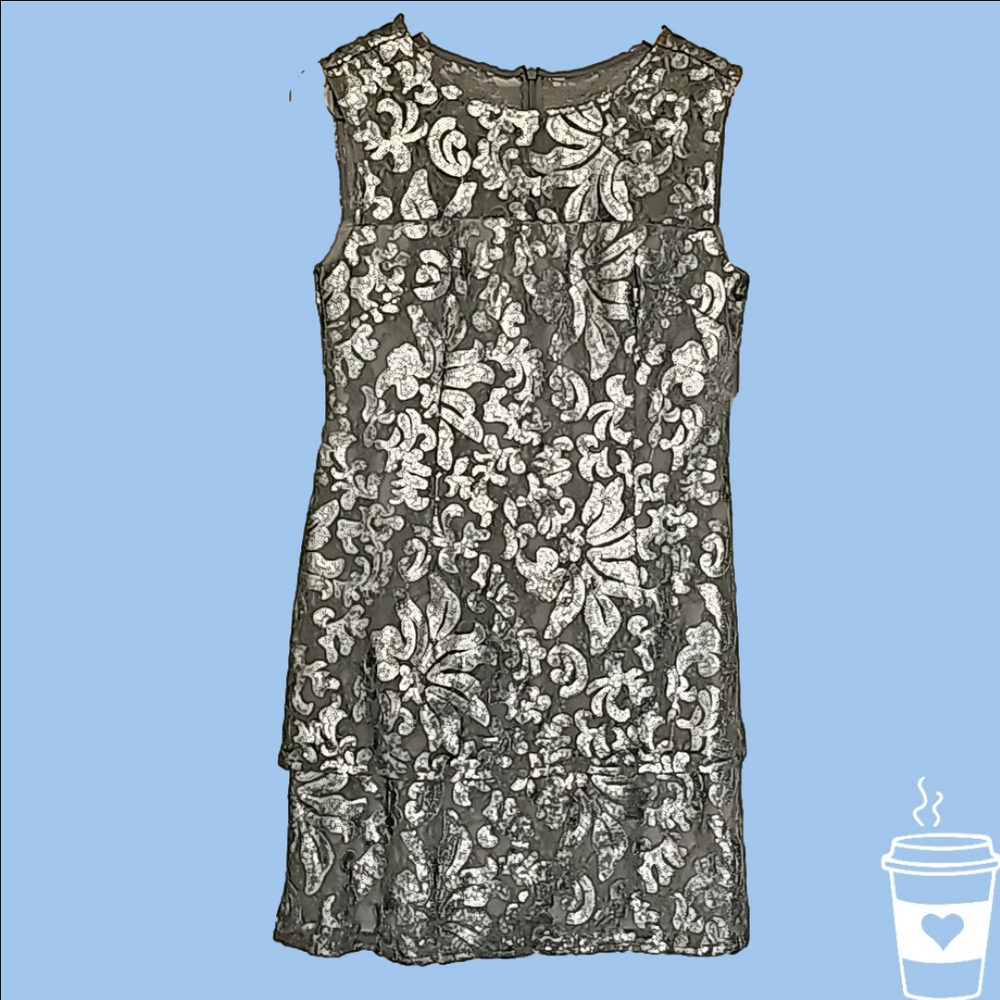 Alex Evenings Silver Lace Dress 10P NWT